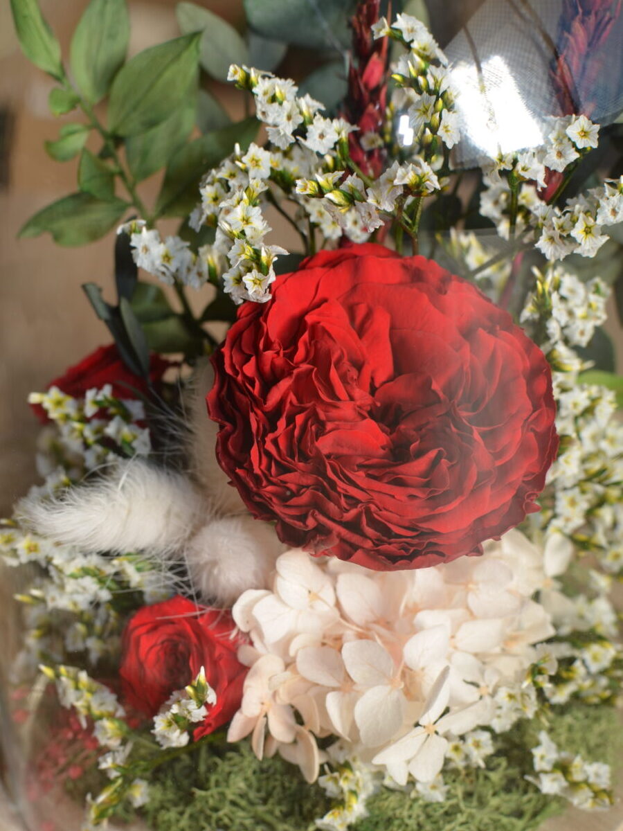 Alternative view of CÚPULA ETERNA