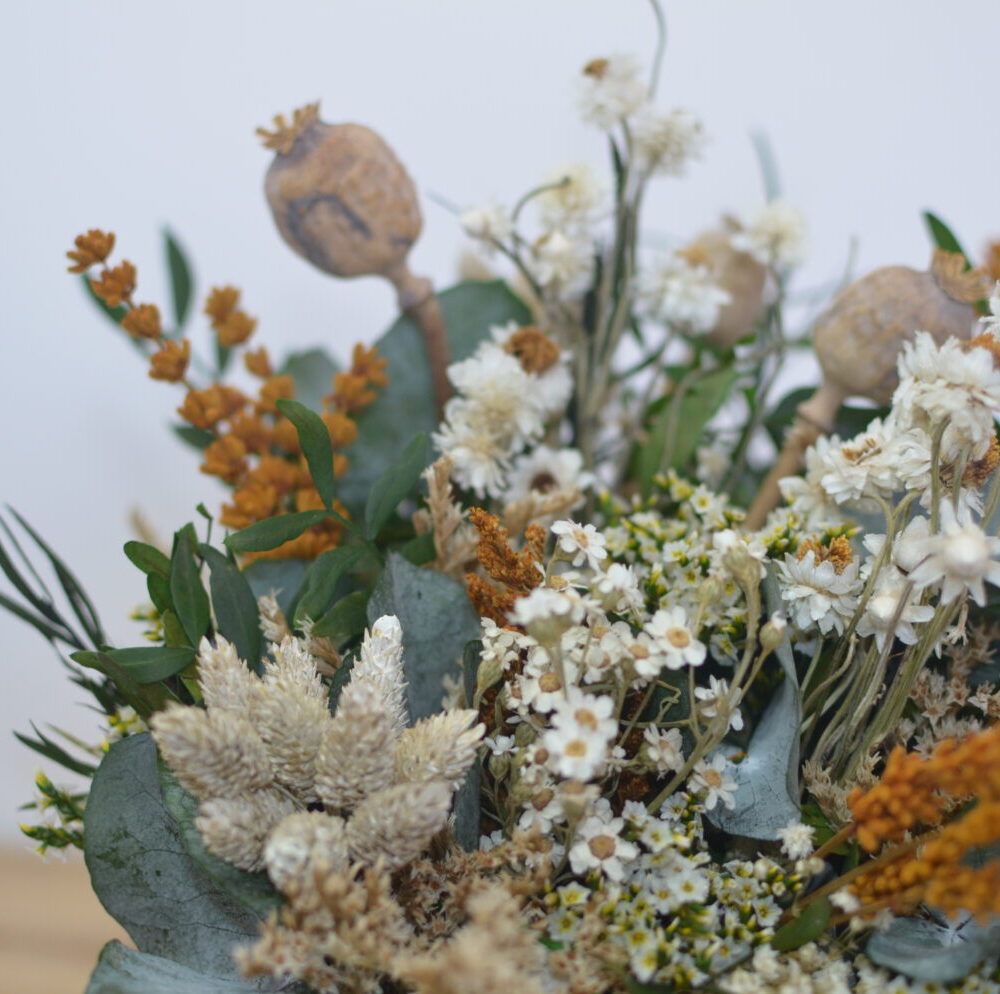 Alternative view of CENTRO IRATI