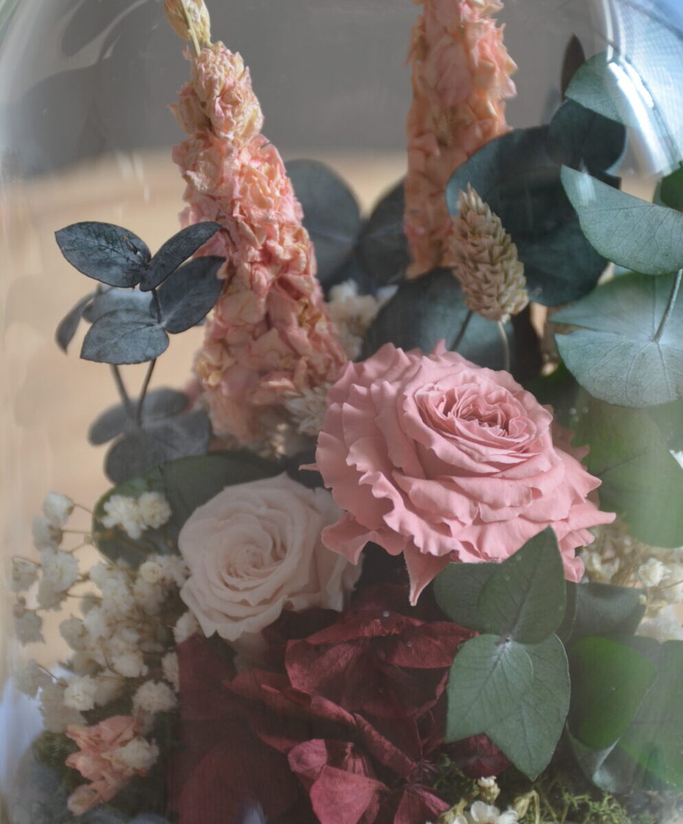 Alternative view of CÚPULA AURA